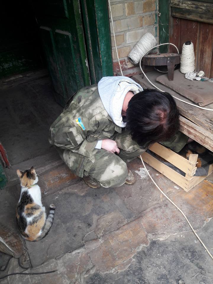 Миколаївські волонтери похизувались фото фронтових котів та собак в зоні АТО - фото 3