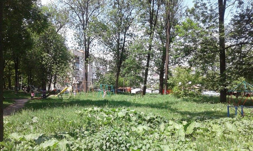 Кілька десятків вінничан виступили проти будівництва церкви в парку "Хімік" - фото 2