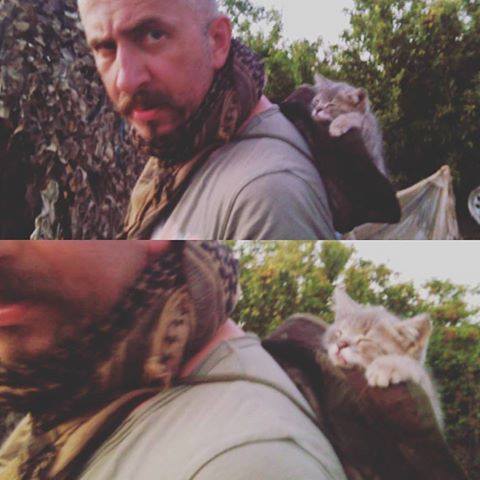 За що в АТО треба поставити пам'ятник котам і... гусям - фото 1 За що в АТО треба поставити пам'ятник котам і... гусям - фото 1