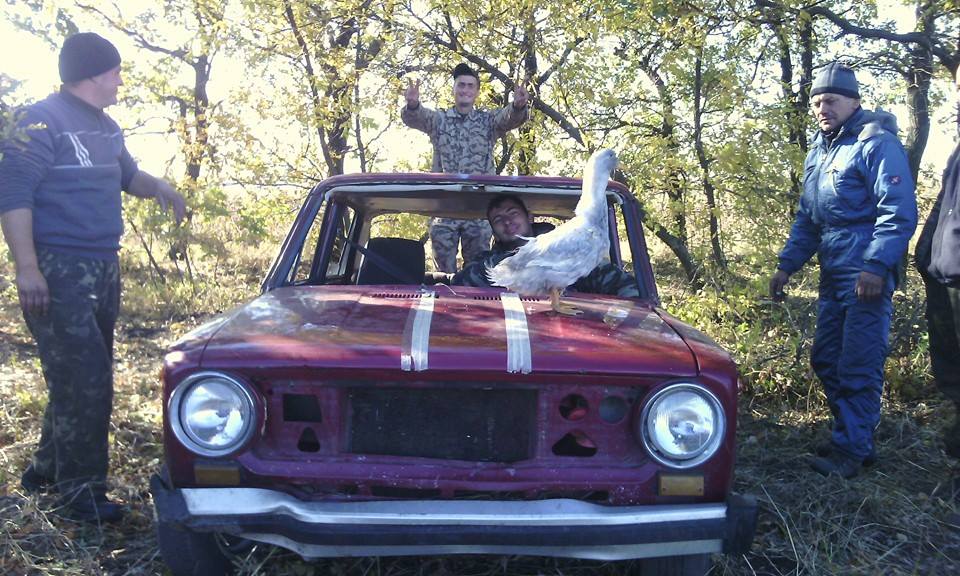 За що в АТО треба поставити пам'ятник котам і... гусям - фото 7 За що в АТО треба поставити пам'ятник котам і... гусям - фото 7