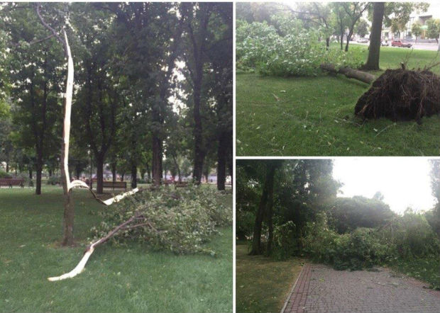 Ураган у Харкові: вирвані з коренем дерева та повалені стовпи - фото 1