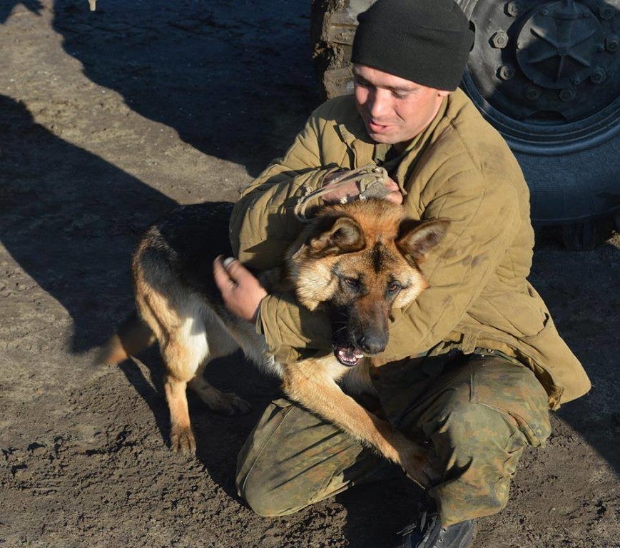 Чим займаються на Донбасі найкращі друзі бійців АТО - 6 - фото 3