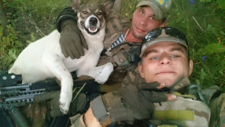 Чим займаються на Донбасі найкращі друзі бійців АТО - 6 - фото 4