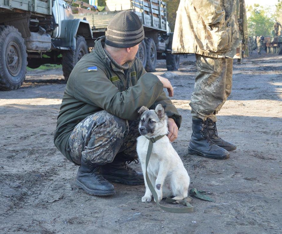Чим займаються на Донбасі найкращі друзі бійців АТО - 6 - фото 5