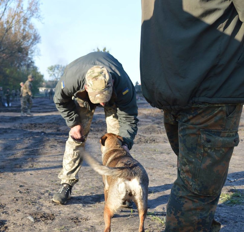 Чим займаються на Донбасі найкращі друзі бійців АТО - 6 - фото 7