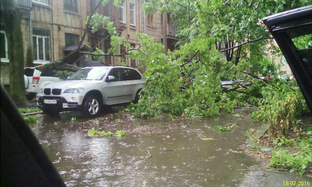 Ураган у Харкові: вирвані з коренем дерева та повалені стовпи - фото 5