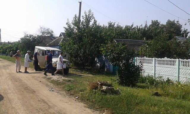 На Миколаївщині спалили 310 хворих на чуму свиней - фото 1
