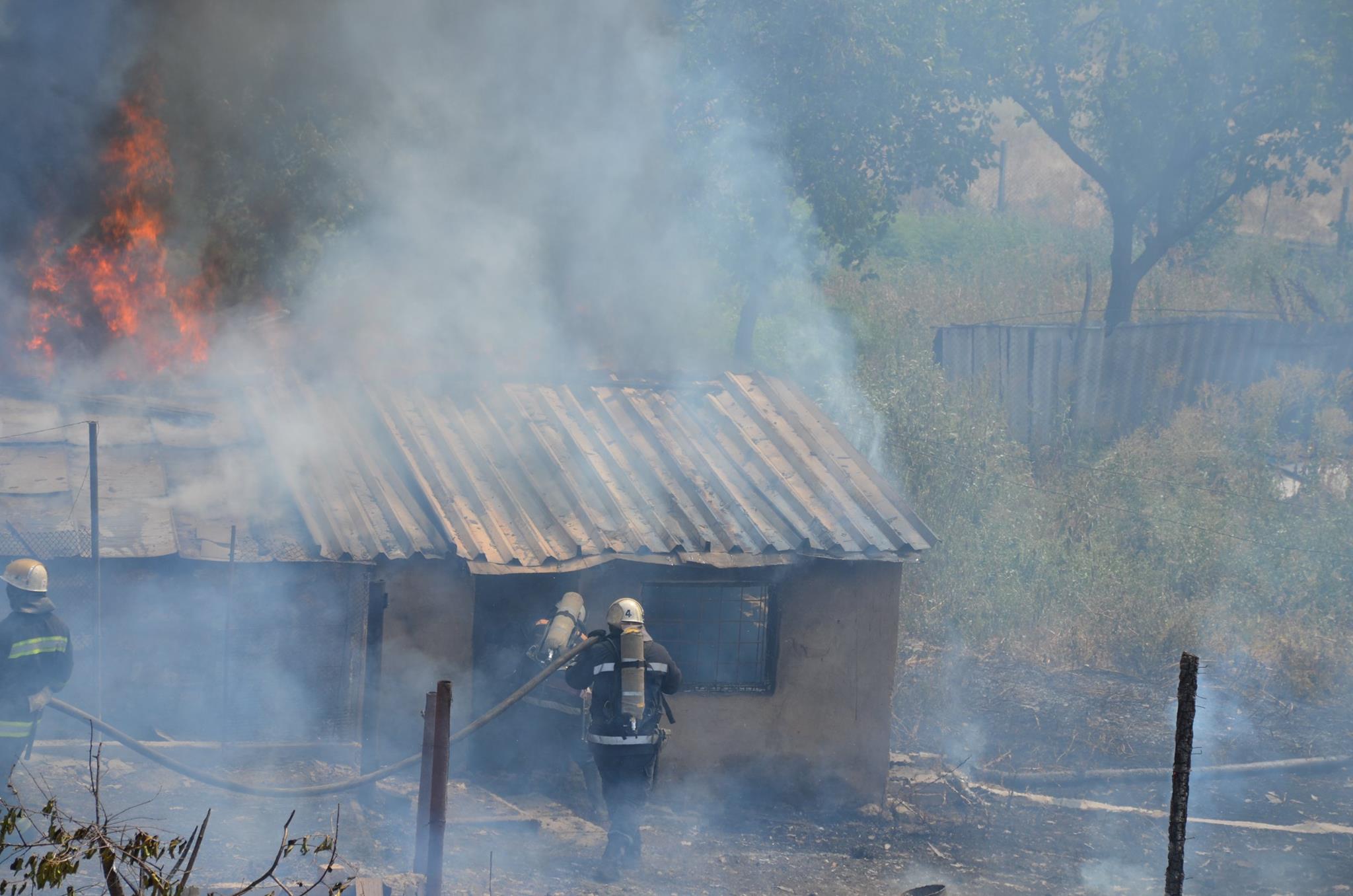На Миколаївщині через пожежу сухостою загорілись сараї та житловий будинок - фото 3
