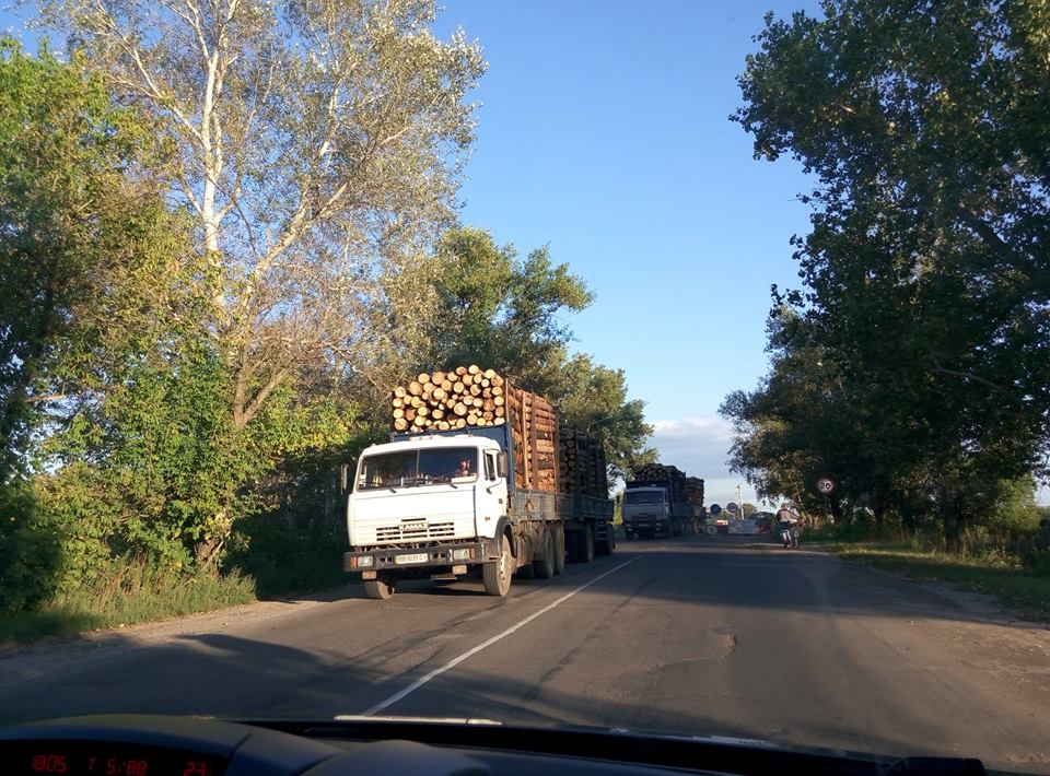Хто і навіщо вирубує ліси Луганської області та погрожує захисникам довкілля (ФОТО) - фото 3