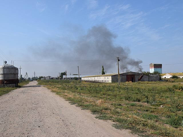 На Миколаївщині ферму, де мають знищити 7 тисяч свиней через "африканку", відправили на карантин