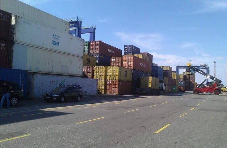ГПУ на Одещині вилучила 41 контейнер з контрабандною деревиною - фото 2