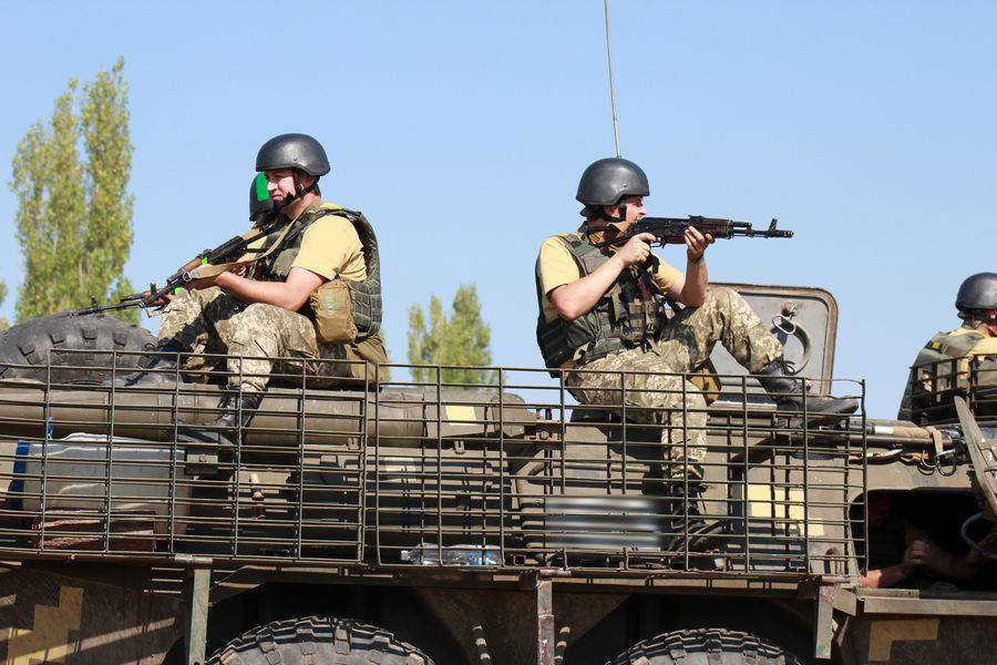 На Миколаївщині резервісти розпочали інтенсивні бойові навчання з бійцями 79-ки - фото 1