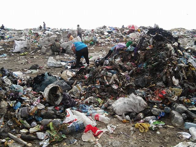 Львівське сміття у Миколаєві моментально розтягують безхатченки та цигани