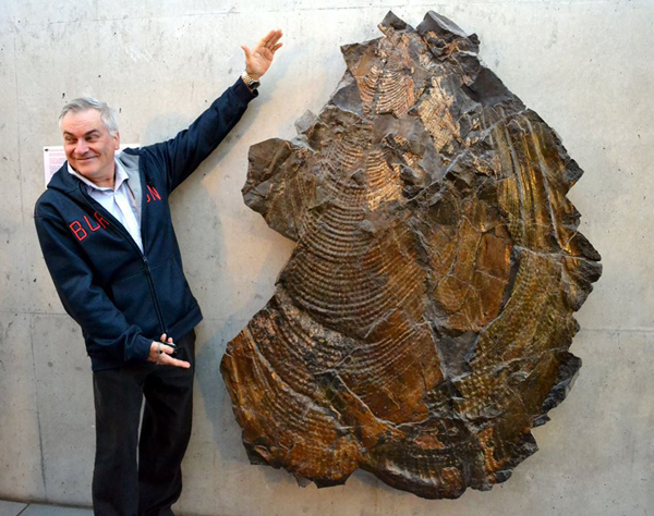 На Миколаївщині в музеї з'явилась раковина величезного молюска віком 70 млн років - фото 3