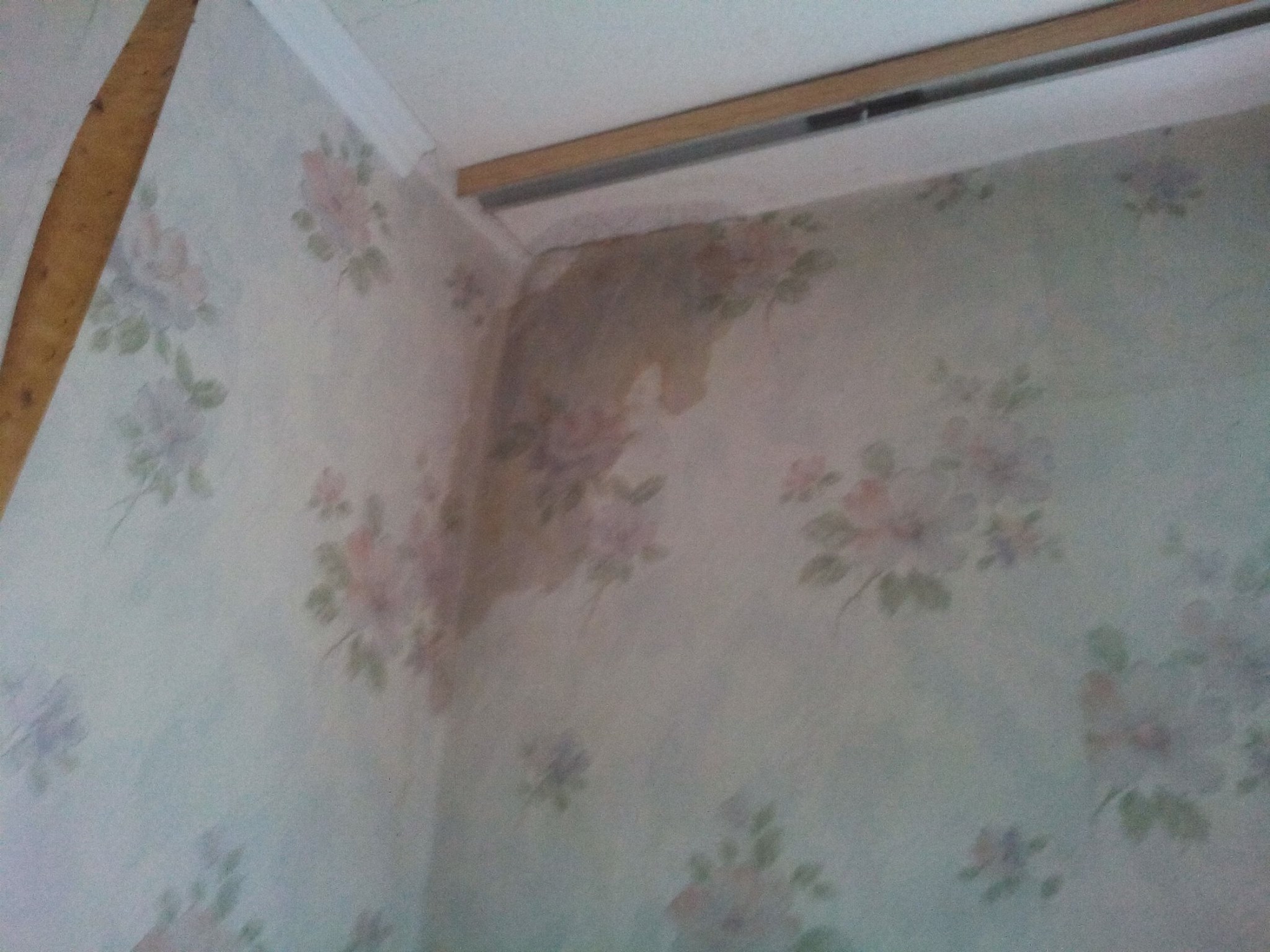 У миколаївців затопило квартиру: комунальник півтора роки не залатають дірку в стіні
