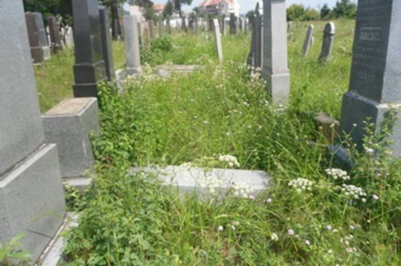 В Ужгороді вандали розтрощили єврейське кладовище - фото 1