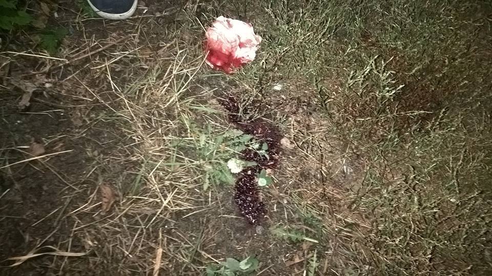 Під Києвом бійка підлітків закінчилася стріляниною - фото 2 Під Києвом бійка підлітків закінчилася стріляниною - фото 2