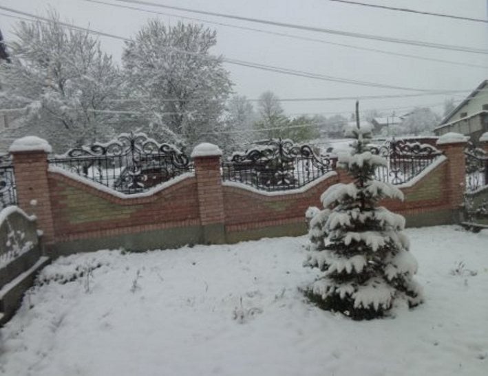 У мережі з'явились фото квітневого снігу на Закарпатті - фото 3