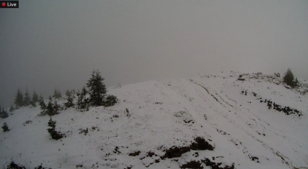 На Закарпатті гірськолижний курорт Драгобрат вкрило снігом - фото 2