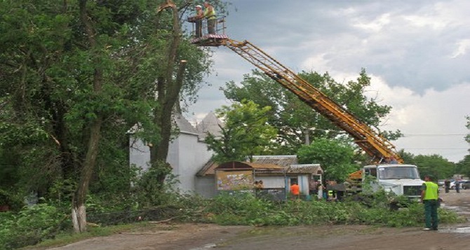 Луганськ накрив потужний буревій: зірвані дахи, повалені дерева та лінії передач (ФОТО) - фото 2