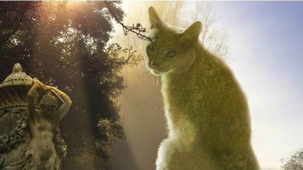 Британський художник увічнив свого кота... в кустах - фото 3