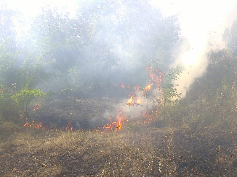 На Харківщині за добу сталося 13 пожеж - фото 2