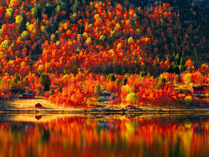 20 причин, за якими осінь набагато краще літа - фото 1