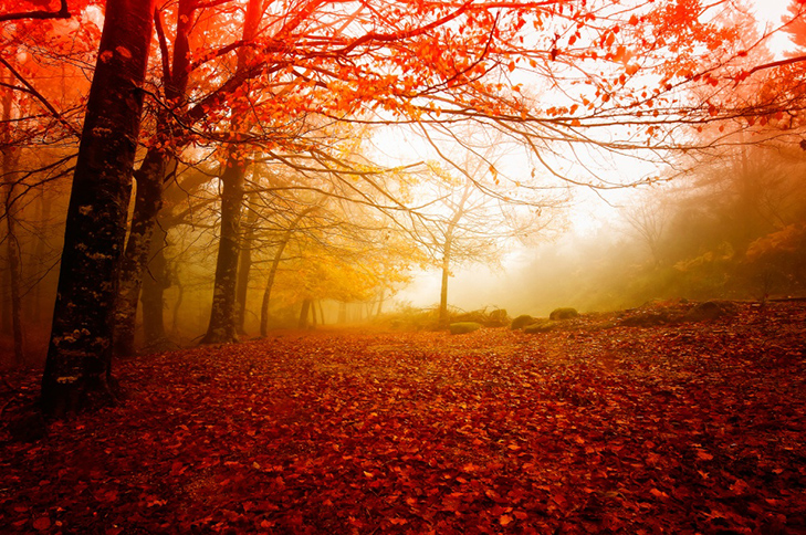 20 причин, за якими осінь набагато краще літа - фото 4