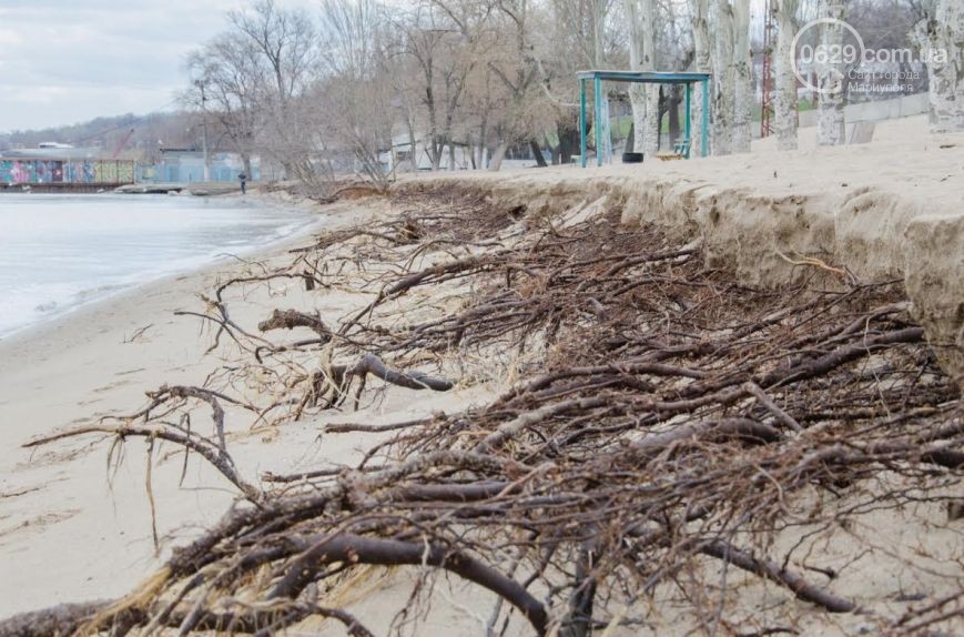 Маріуполем пройшовся потужний шторм: дерева вирвало з корінням (ФОТО) - фото 3
