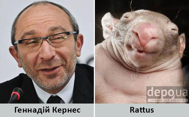 Політики та тварини: Які звіри сплять в Яценюкові, Ляшку і Парасюку - фото 3