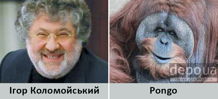 Політики та тварини: Які звіри сплять в Яценюкові, Ляшку і Парасюку - фото 17