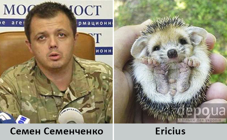 Політики та тварини: Які звіри сплять в Яценюкові, Ляшку і Парасюку - фото 9