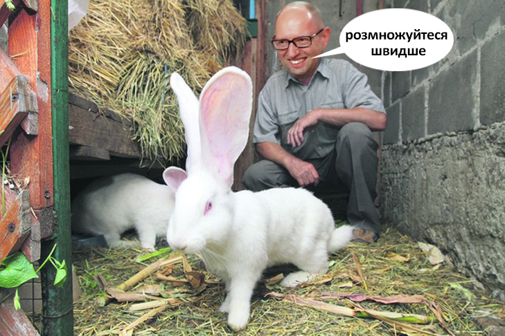 Що буде робити Яценюк у відставці (ФОТОЖАБИ) - фото 3 Що буде робити Яценюк у відставці (ФОТОЖАБИ) - фото 3
