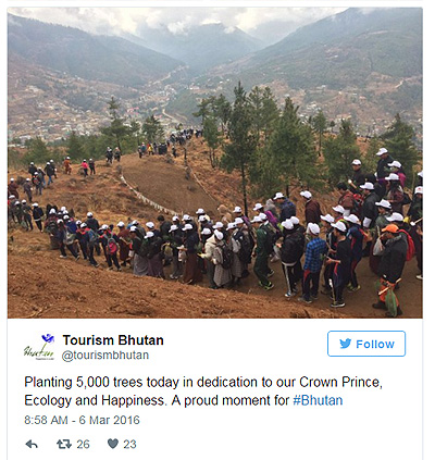 У Бутані через новонародженого принца, тисячі людей змушені саджати дерева  - фото 1
