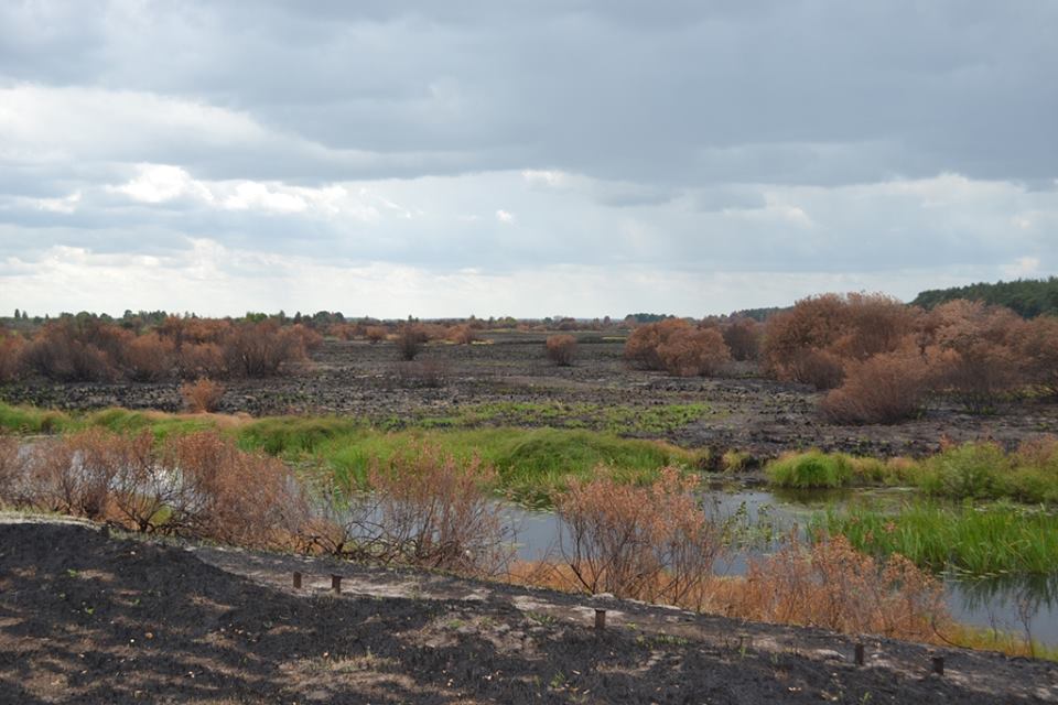 "Випалена земля": Пожежу в Чорнобильській зоні остаточно загасили - фото 1