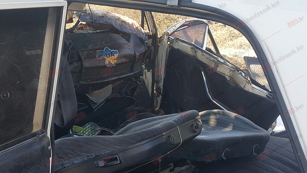 У Бердянську автівка в'їхала у дерево - постраждали п'ятеро людей - фото 1