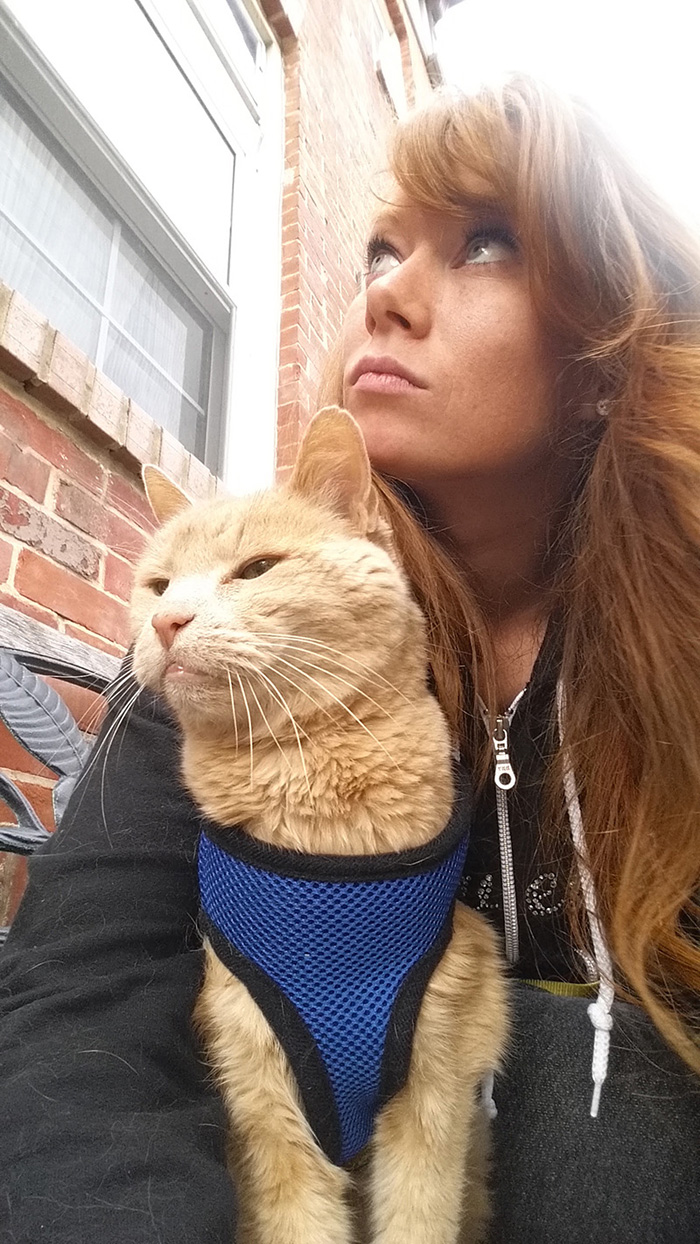 Як жінка врятувала 21-річного кота, взявши його з притулку - фото 2