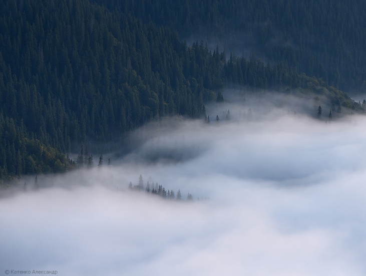 Закарпатські гори в міжсезоння - дивовижні світлини - фото 1