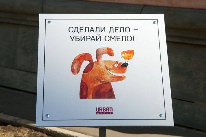 На Росії домашні тварини виховують своїх власників - фото 5