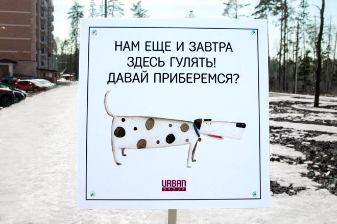 На Росії домашні тварини виховують своїх власників - фото 6