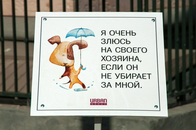На Росії домашні тварини виховують своїх власників - фото 7