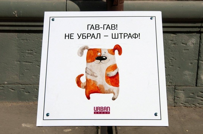На Росії домашні тварини виховують своїх власників - фото 8