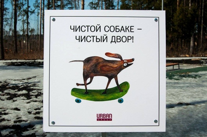 На Росії домашні тварини виховують своїх власників - фото 9