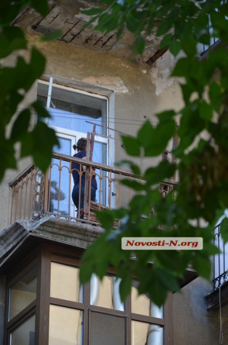 У Миколаєві неадекватна жінка, що вининула цуценя з вікна, озброїлась ножем - фото 2