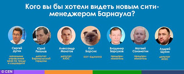 На Росії в одному із міст мером обрали кота Барсика  - фото 1