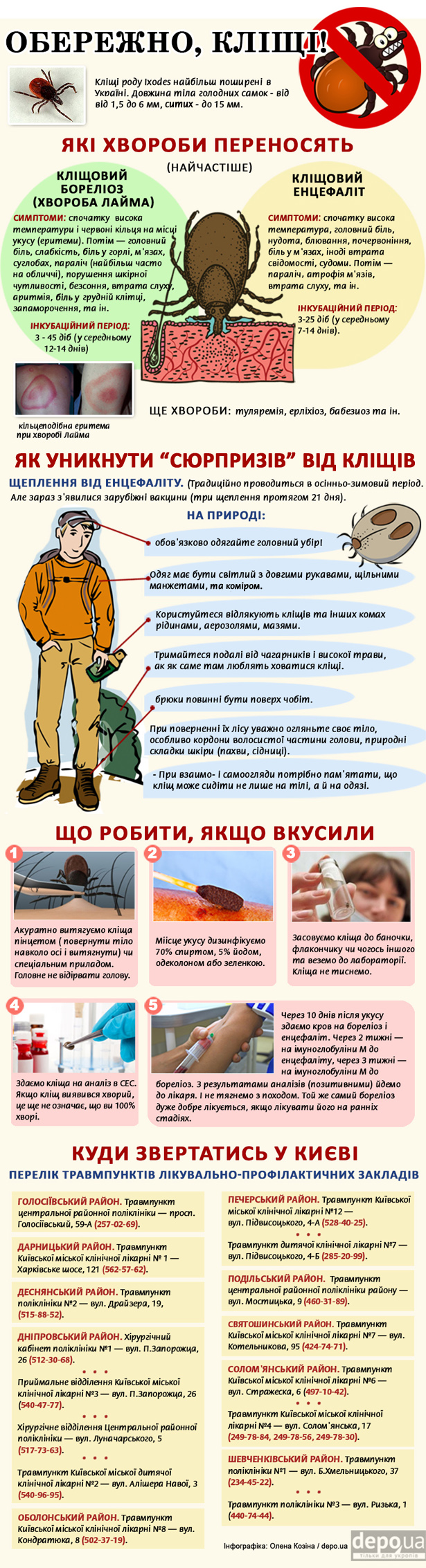 Як правильно уникати кліщів (ІНФОГРАФІКА) - фото 1