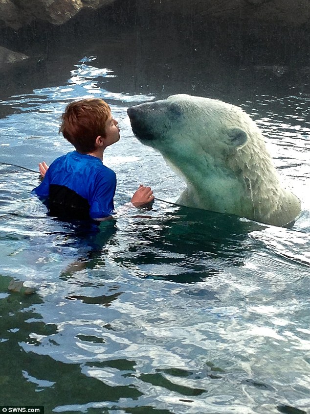 Як хлопчик полярного ведмедя цілував  - фото 1