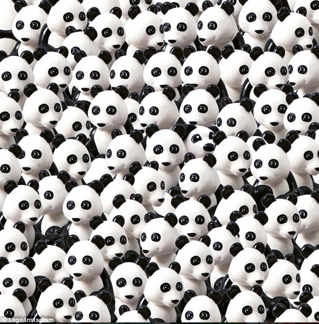 Знайди серед купи панд собаку - фото 1