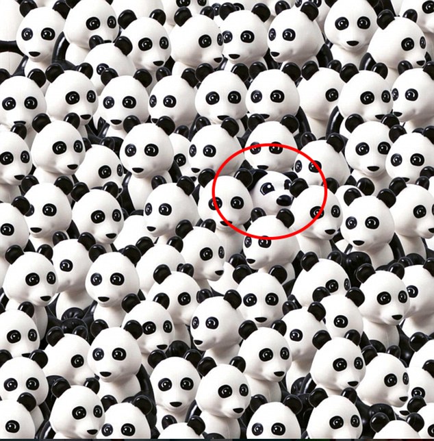 Знайди серед купи панд собаку - фото 2