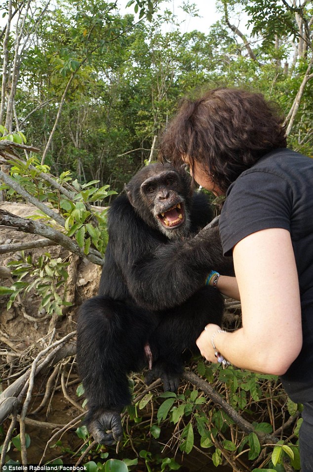 Як мавпа, яка три роки жила сама на острові, кинулася в обійми людині  - фото 2